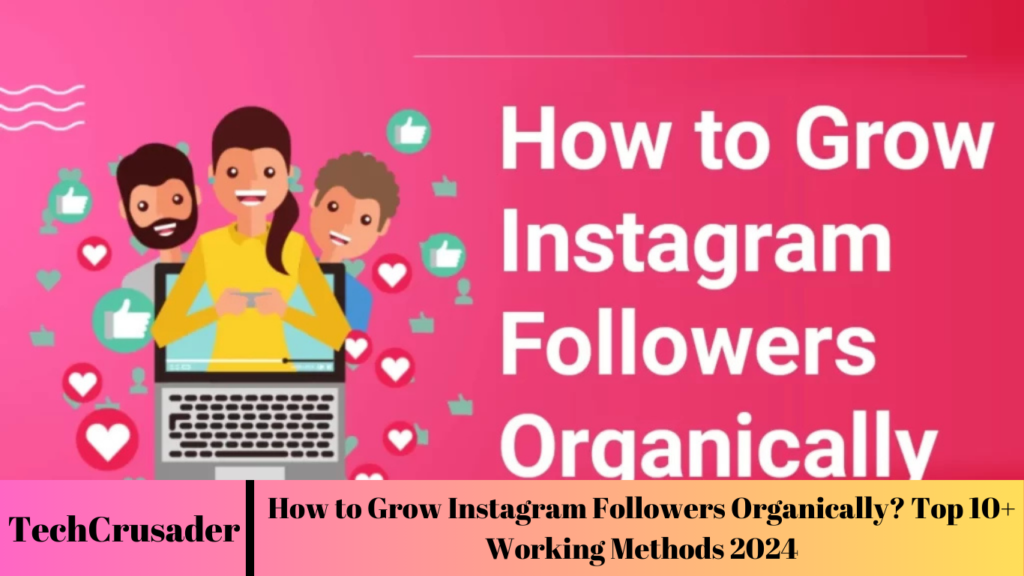How to Grow Instagram Followers Organically? Top 10+ Working Methods 2024
